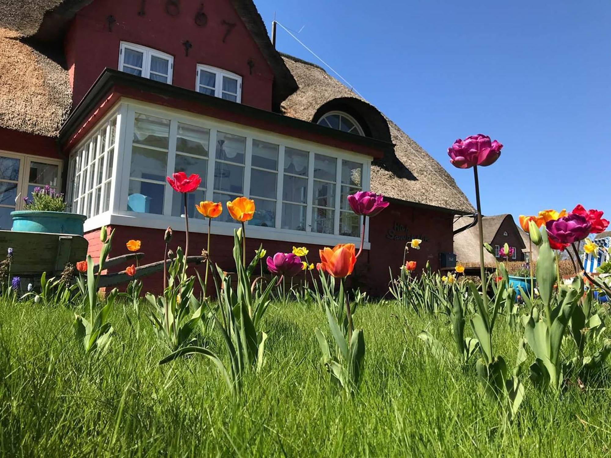 Hues Sanskiin Ferienwohnung *Hopelfask* Suddorf Exteriér fotografie