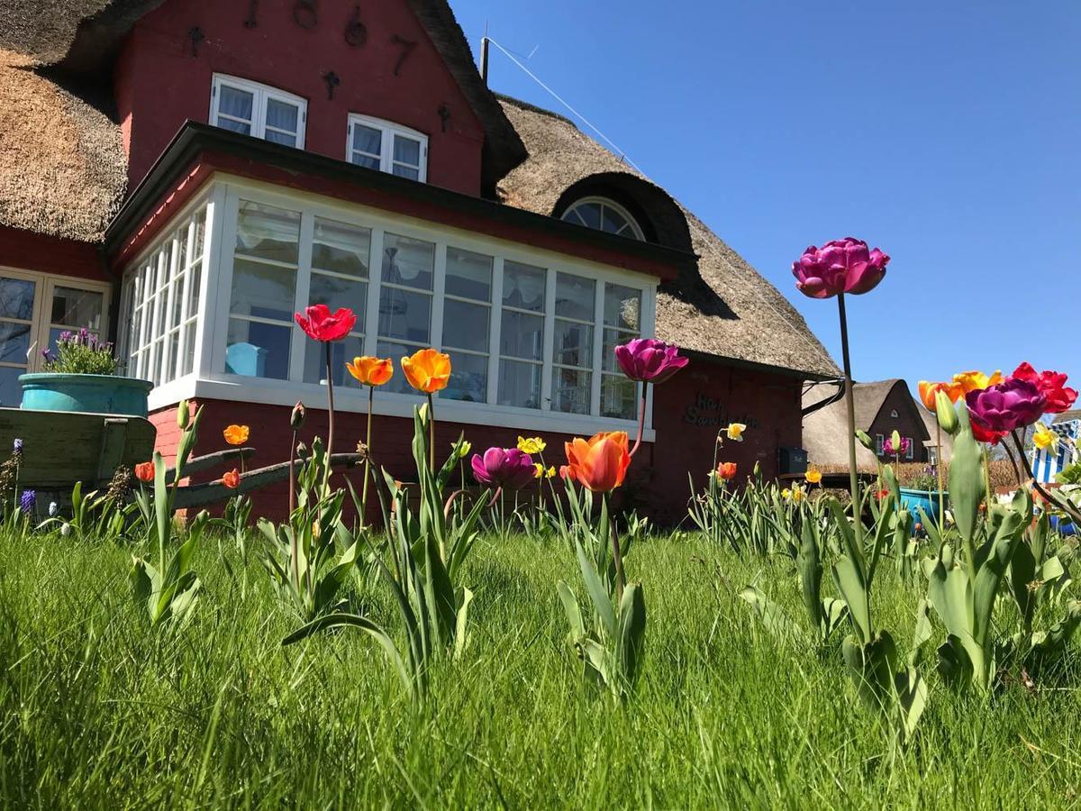 Hues Sanskiin Ferienwohnung *Hopelfask* Suddorf Exteriér fotografie